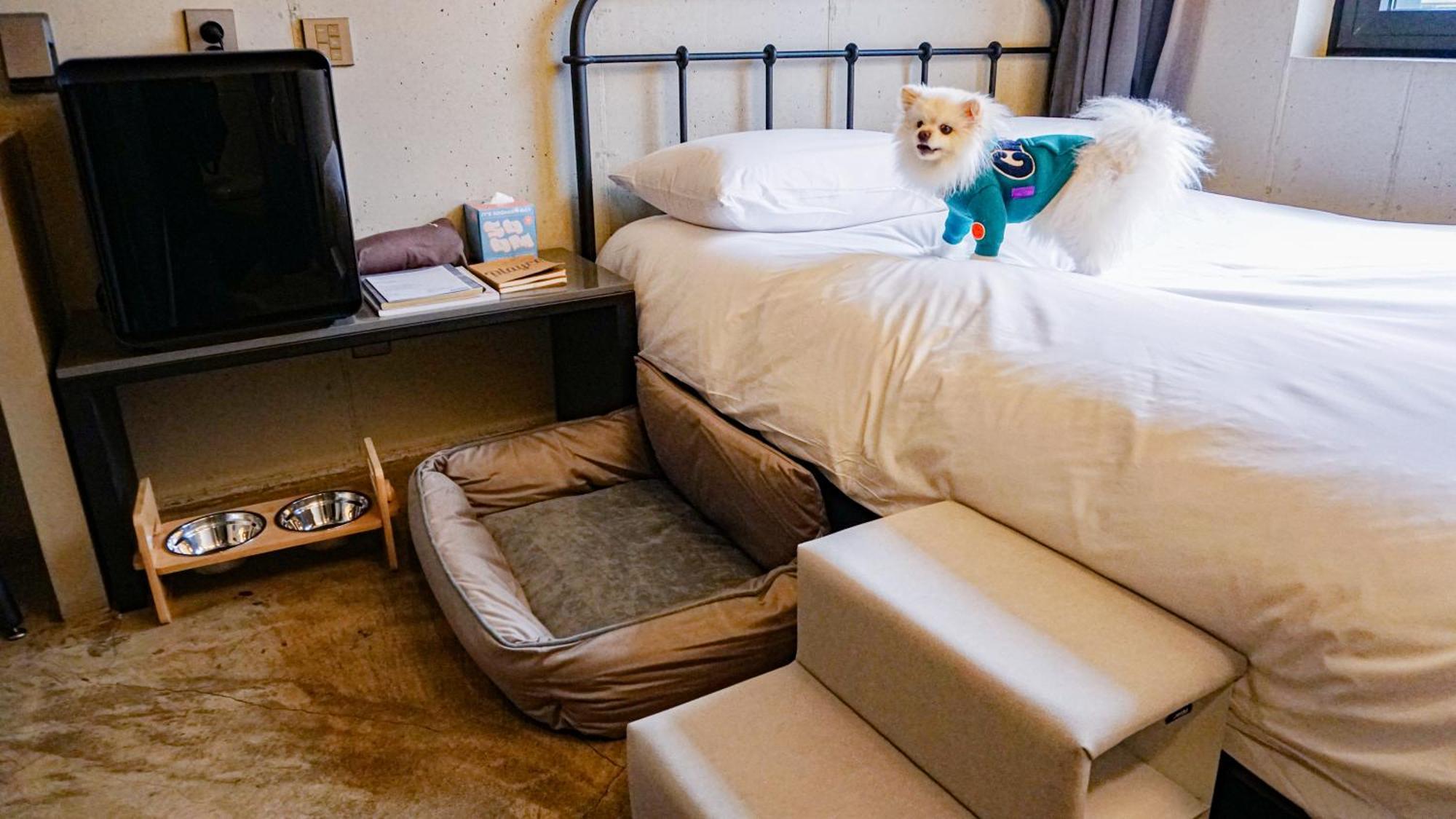 Hotel Playce Camp Jeju à Oso-ri Extérieur photo